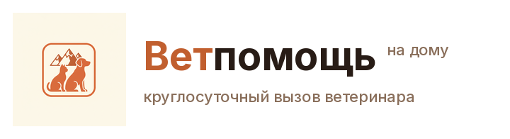 Ветеринар на дом Екатеринбург — Ветпомощь на дому